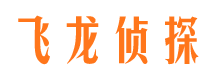 汝城市调查公司